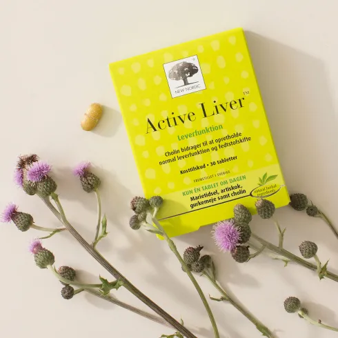 Active Liver