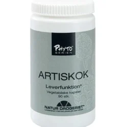 Artiskok