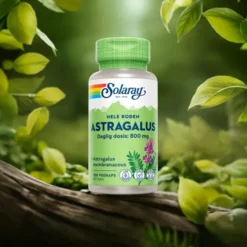 Astragalus