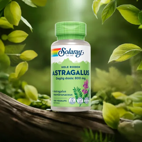 Astragalus