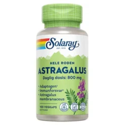 Astragalus