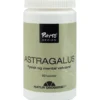 Astragalus