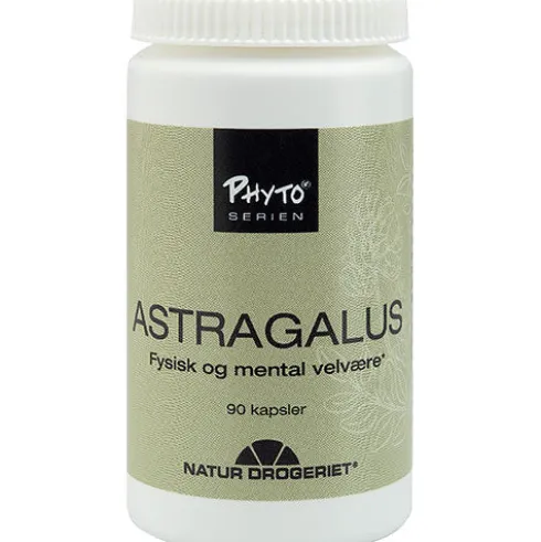Astragalus