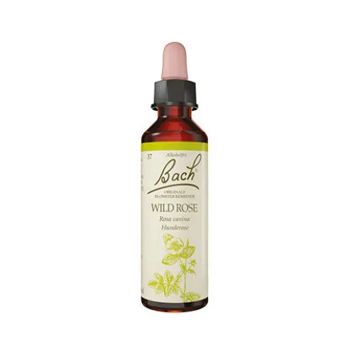 Bach Originale Blomsterremedier | Hunderose