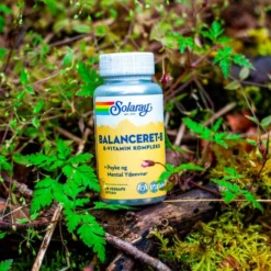 Balanceret-b