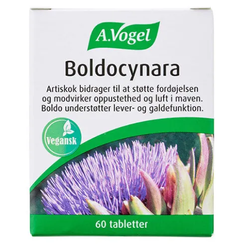 Boldocynara