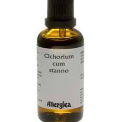 Cichorium Cum Stanno