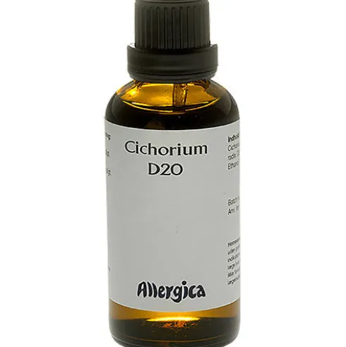 Cichorium D20