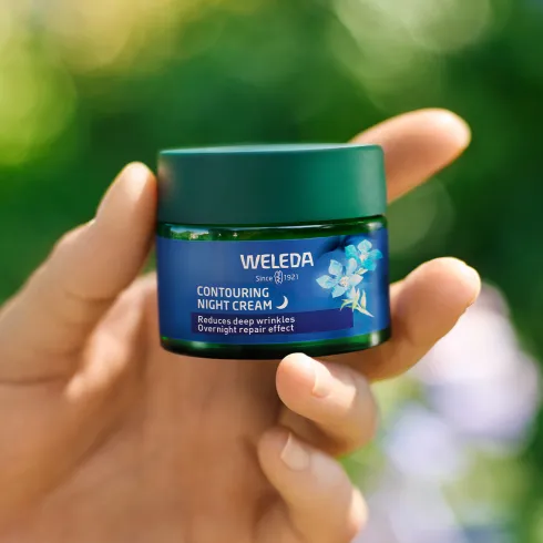 Contouring Night Cream