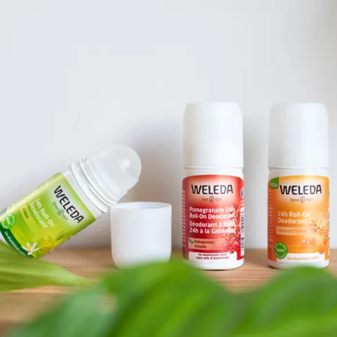 Deodorant Roll-on 24h (50 ml) | Sea Buckthorn