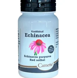 Echinacea