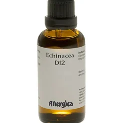 Echinacea D12