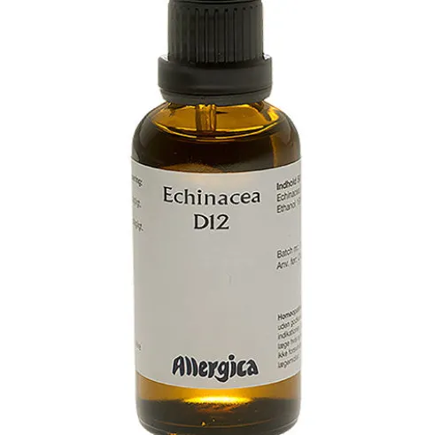 Echinacea D12