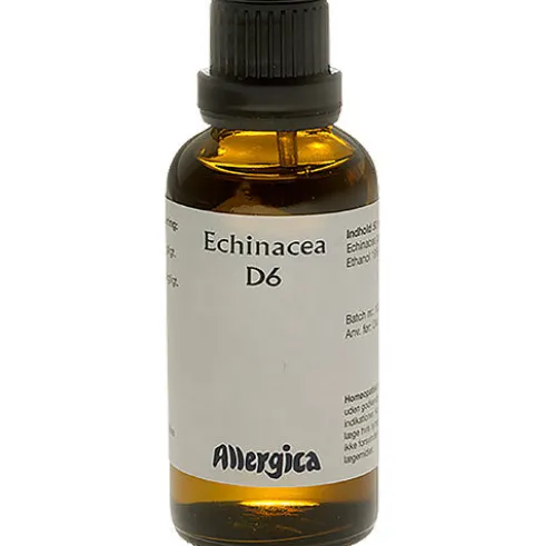 Echinacea D6