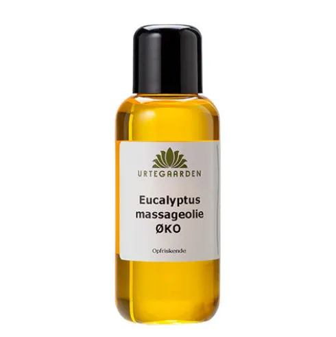 Eucalyptus Massageolie Økologisk