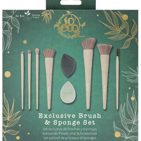 Exclusive Brush & Sponge Set