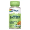Havtorn
