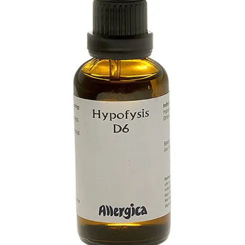 Hypofysis D6