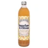 Ingefær & Citron Saft Økologisk