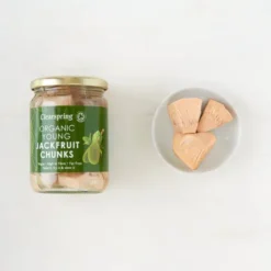 Jackfruit Økologisk