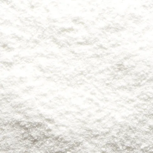 Kokosmælk Pulver Økologisk | 250 gr