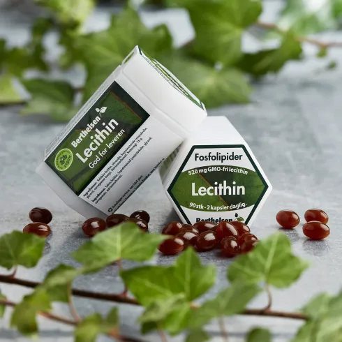 Lecithin