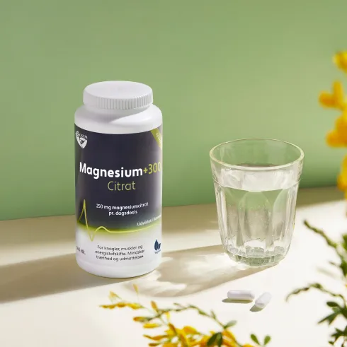 Magnesium+300 Citrat