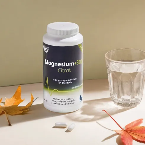 Magnesium+300 Citrat