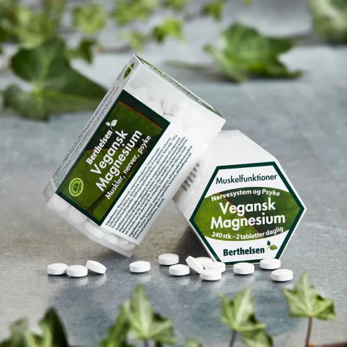 Magnesium Vegansk