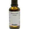 Mesenchym Comp.