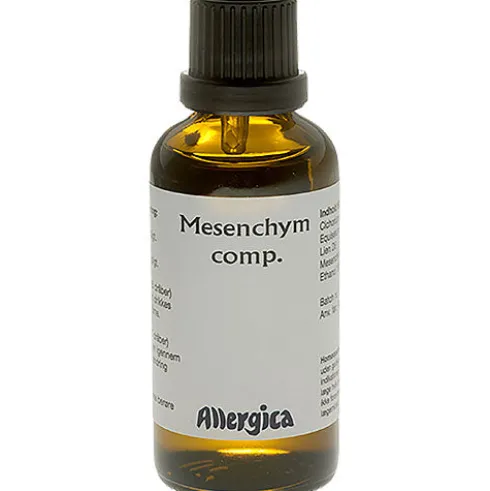 Mesenchym Comp.
