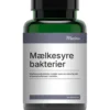 Mælkesyrebakterier Probiotika