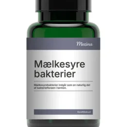 Mælkesyrebakterier Probiotika