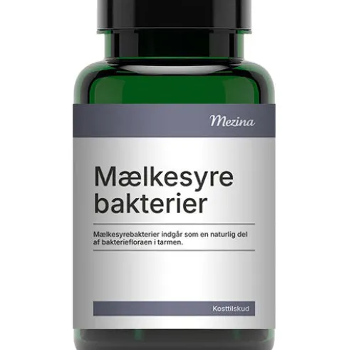 Mælkesyrebakterier Probiotika