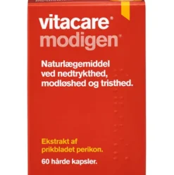 Modigen