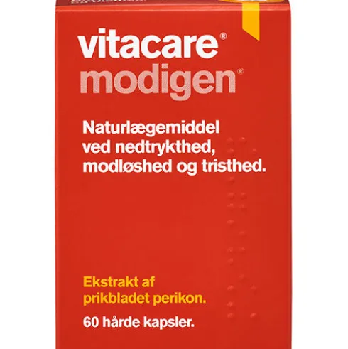 Modigen