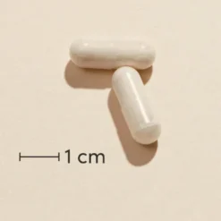 Omnikalk Forte