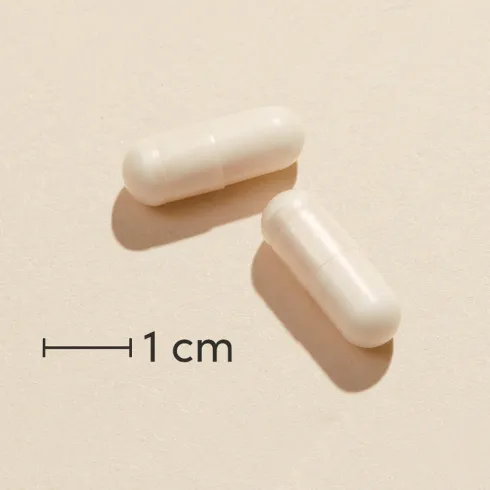 Omnivita L-carnitin