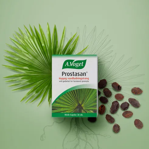 Prostasan | 30 kaplser
