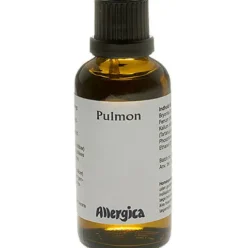 Pulmon