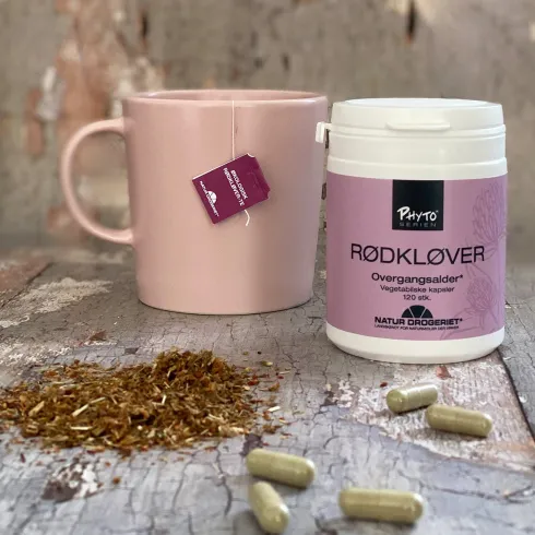 Rødkløver