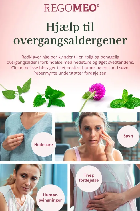 Regomeo Rødkløverekstrakt Økologisk
