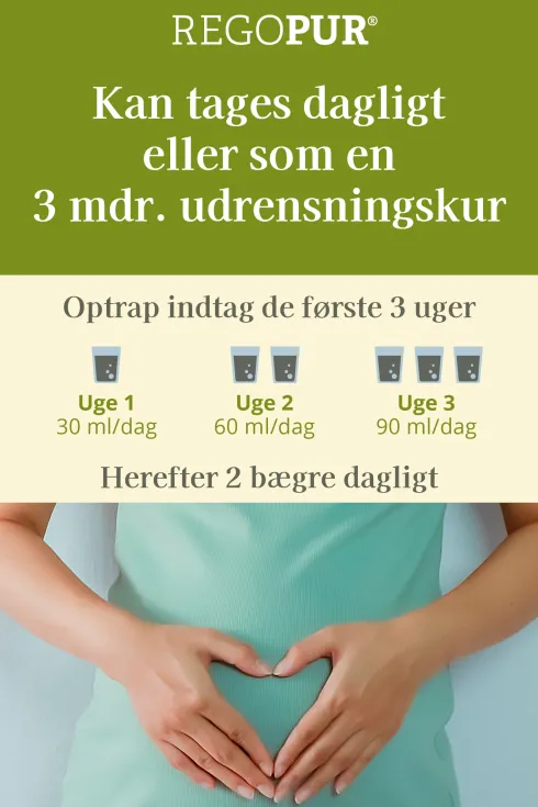Regopur Mælkebøtteekstrakt Økologisk