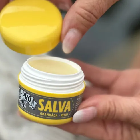 Salva
