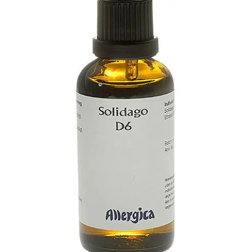 Solidago D6