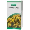 Solidago Urtete breve
