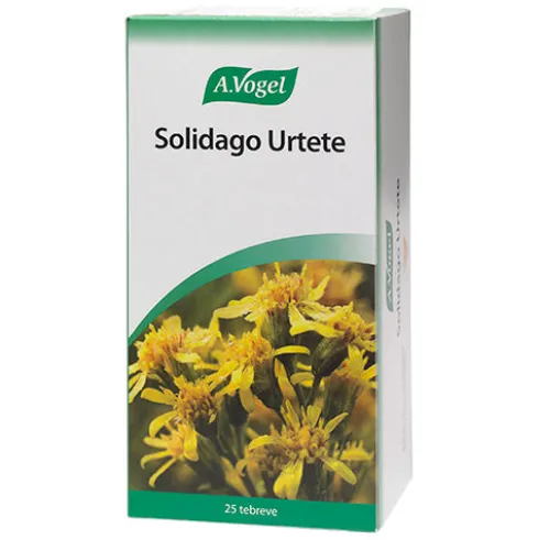 Solidago Urtete breve