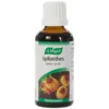 Spilanthes
