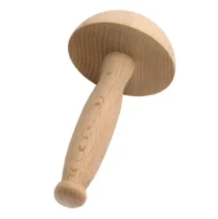 Stoppesvamp/æg I Bøgetræ
