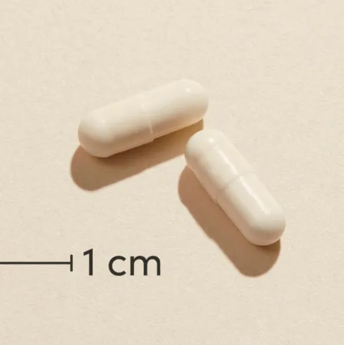 Symbioflor+